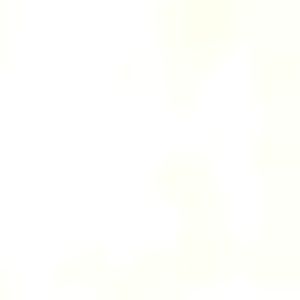 Meet your Posher, Ronnie